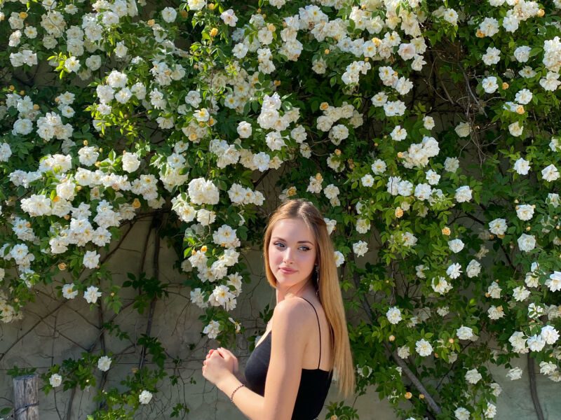 Angelica